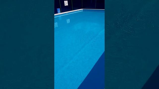 1000048271.mp4