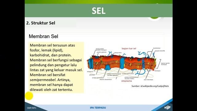 Organisasi Kehidupan