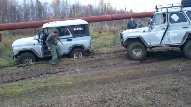 Лебеда