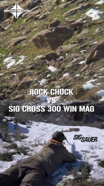 Have you ever seen what a 300 Win Mag does to a rock chuck?!?!