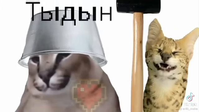 шипучий хаш С ШЛЁПАЙ