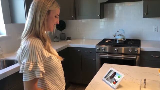 Reed SmartHome IQ Panel 2 Plus: All-In-One, Always Connected