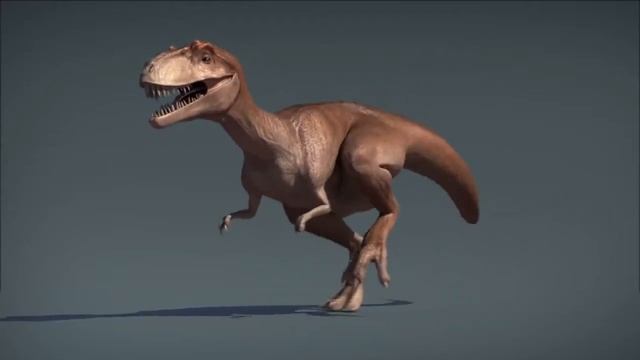 Dinosaur   1438