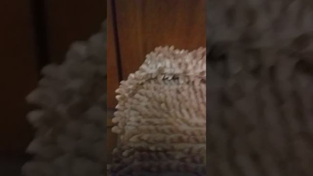 Вредные игрушки Утка на мотоцикле Не понятное говно и обезьяна депутат