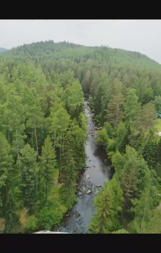 Скальник Витязь