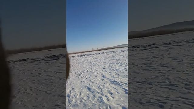 Охота на рябчика