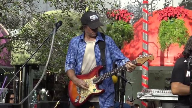 Mister Nice Guy At King Mango Strut Coconut Grove