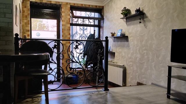 💥Баку ПОТРАТИЛИСЬ на 60$🔥с РЫБОЙ к МАМЕ Слоёный ПИРОГ😋#азербайджан Products from BAZAAR at 60 #