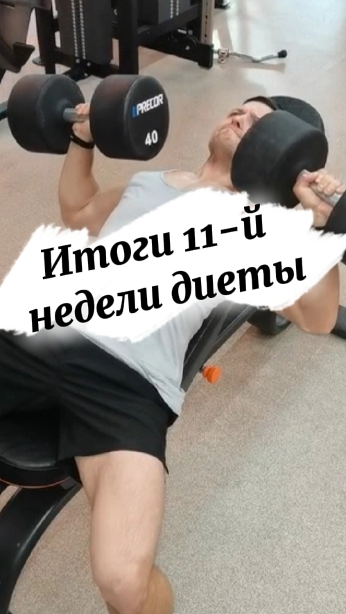 scene_output.mp4