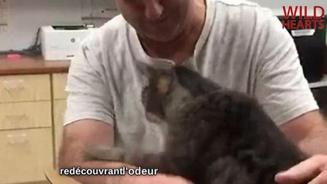Un Chat de 19 Ans a Serré Ses Pattes Dans Ses Bras Son Propriétaire,Qu'il N'avait Pas vu Depuis 7 a