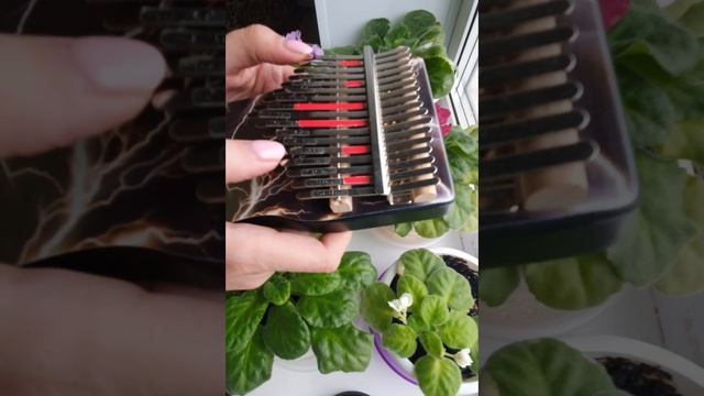 С ПРАЗДНИКОМ 8 МАРТА, МИЛЫЕ ЛЕДИ!!!!!! ДОБРА ВАМ И КОЛОКОЛЬЧИКОВ В ДУШУ!