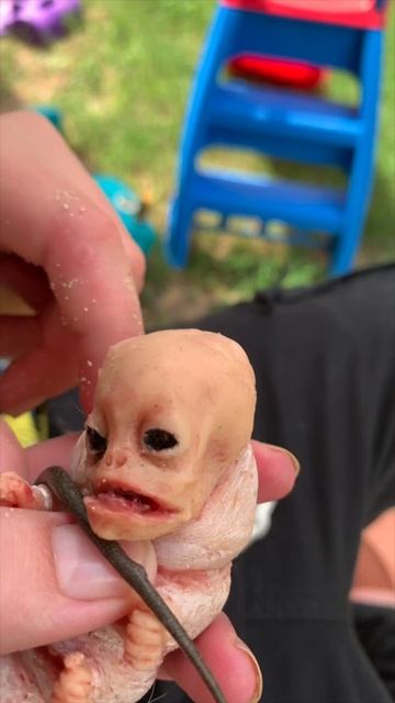 Our alien caterpillar creature has a salamander on his head!