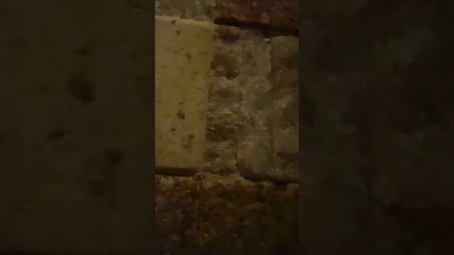 СПЕЛЕОКАМЕРА - МОЖНО ЛИ ПРИ ОНКОЛОГИИ?