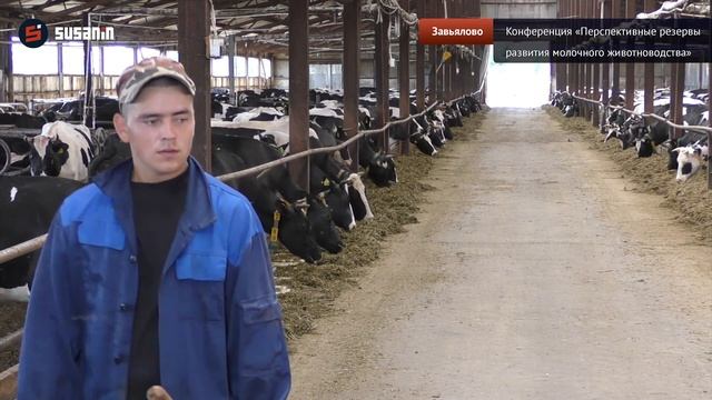 Артем Белов о развитии молочного рынка в России