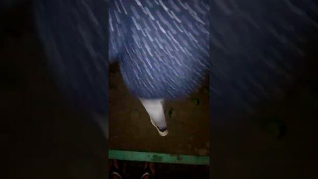 Пирожки со шпинатом,на ночь глядя
