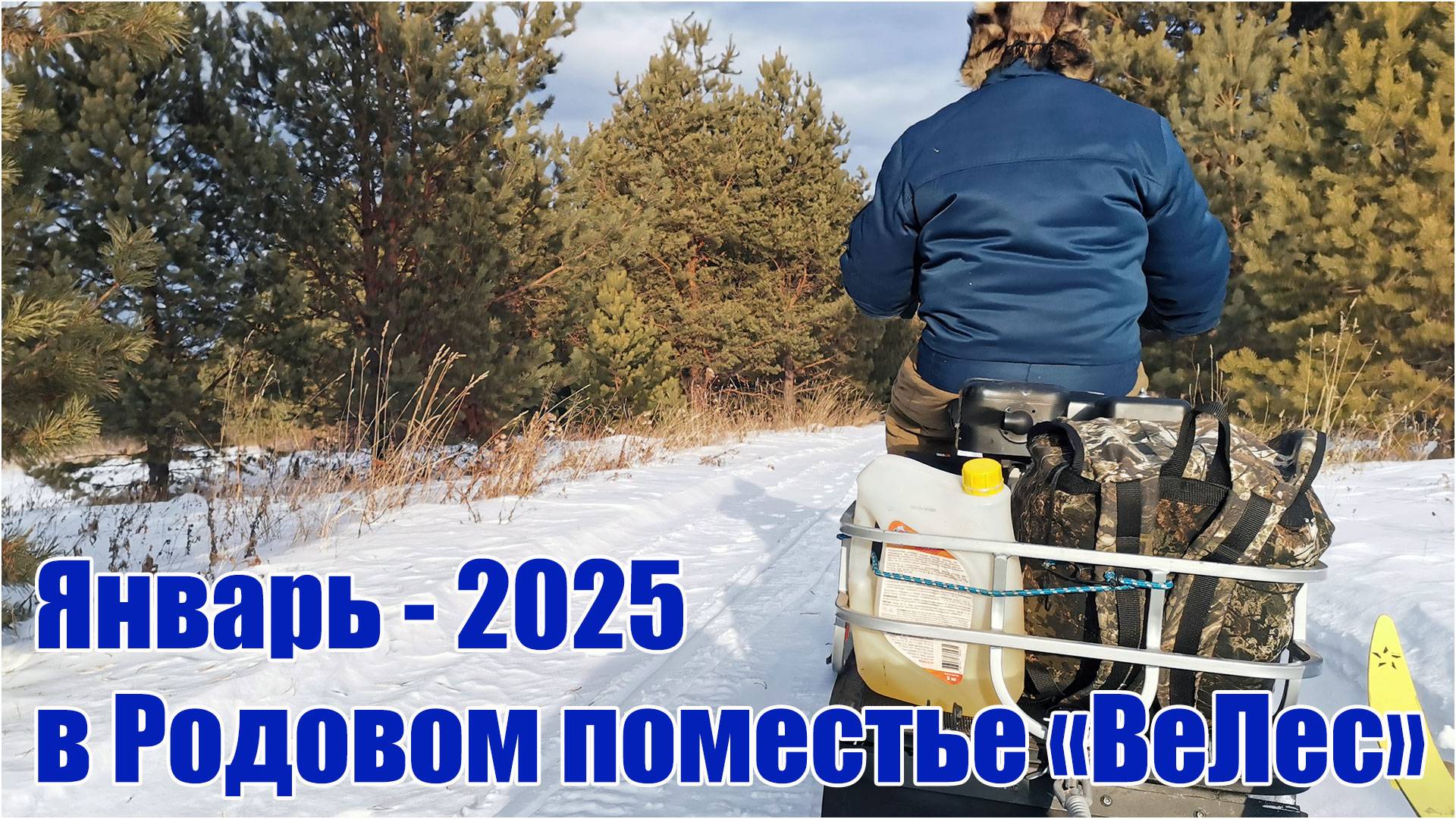 Теплый январь 2025 в Родовом поместье ВеЛес