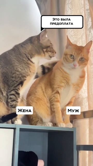 Очки бывают разные