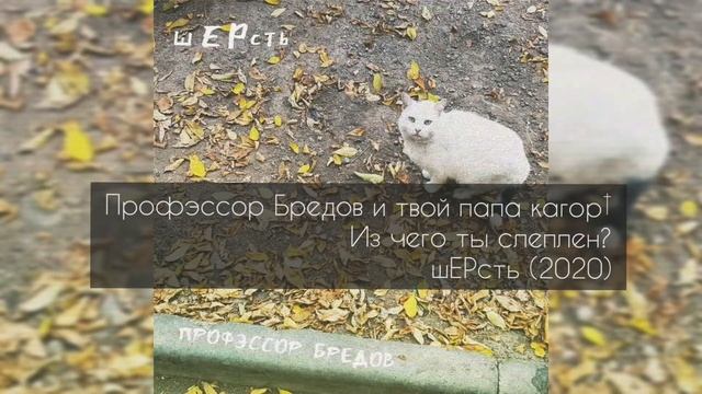 Профэссор Бредов и твой папа кагор† —  Из чего ты слеплен?