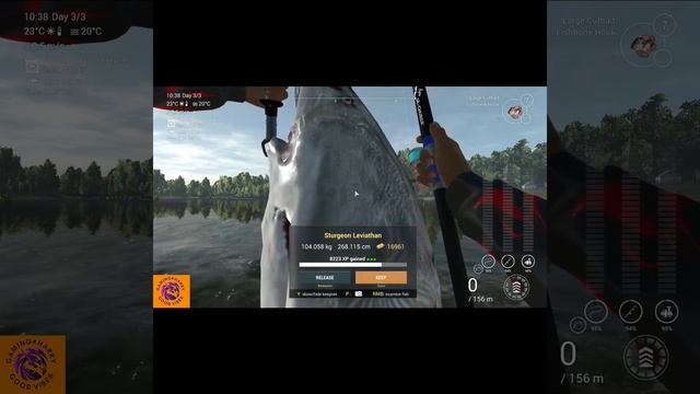 Fishing Planet, Akhtuba river, Leviathan, fishbone hoke, #shorts