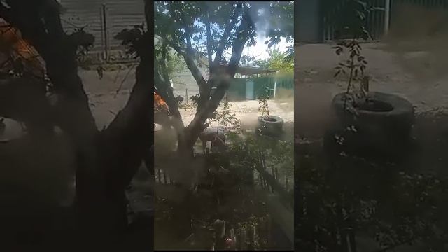 так с нас дерут деньги за такой вывоз мусора. Астрахань эх....