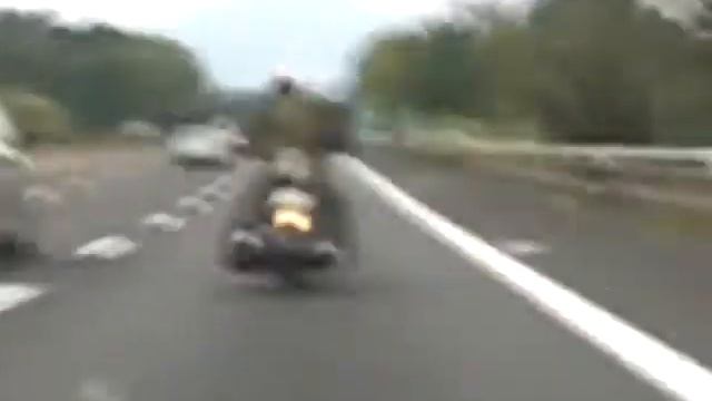 centauro dalla testa piccola