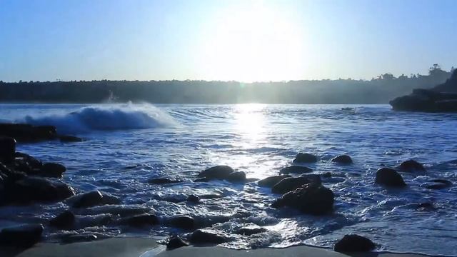 Grief - A Short Film by Fabiana Fonseca