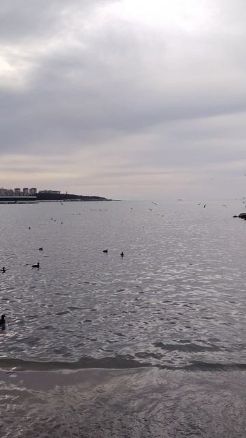 море