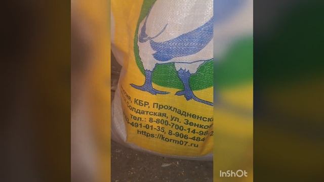 12.05.24.Забой бройлеров.Вес бройлеров.Бройлеры.Утки.