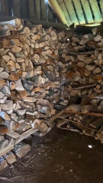 Подготовка дров к зиме идёт полным ходом! 🏕 Дом у леса! 🏕 House by forest! 🏕