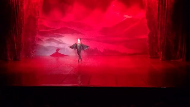 Swan Lake ballet, Rothbart variation - E. Silakov