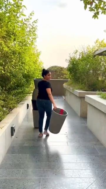 sereno planter