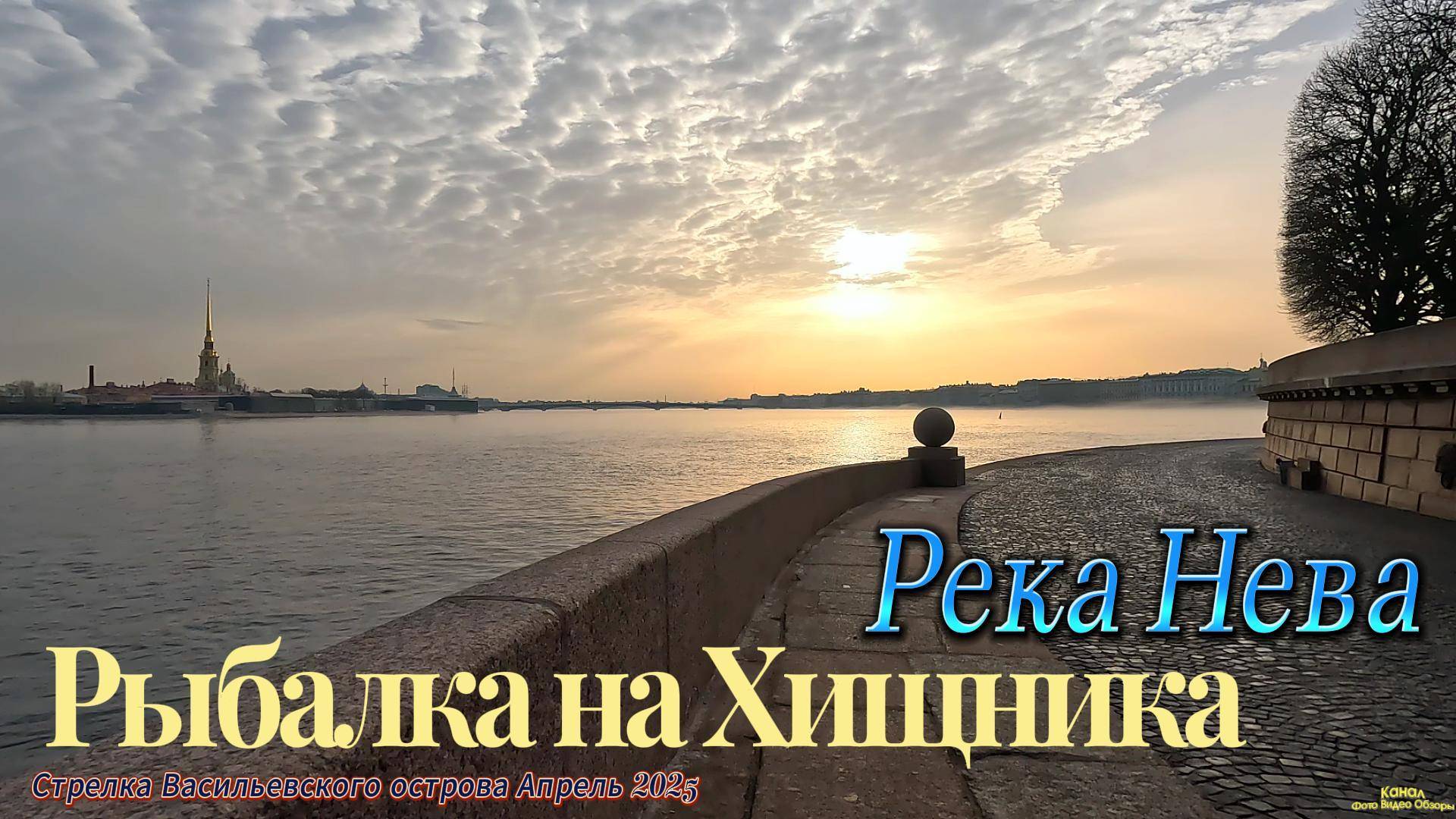 ДРОП- ШОТ #окунь УТРО АПРЕЛЬ 2025 РЕКА НЕВА РЫБАЛКА НА ХИЩНИКА РЕЗИНА СИЛИКОН ЦВЕТ МАШИННОЕ МАСЛО