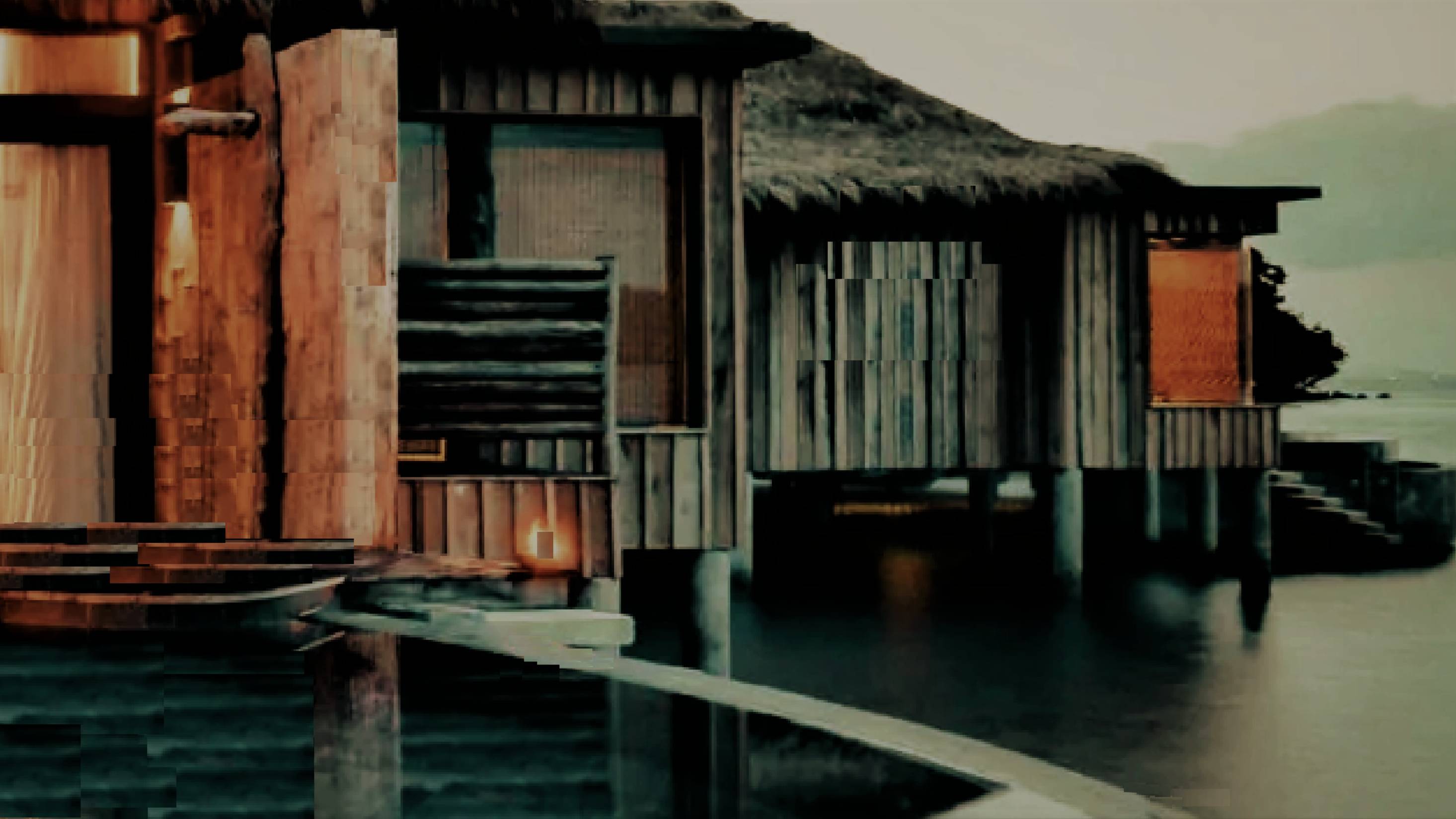Shorea Assamica