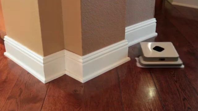 Mint Automatic Floor Cleaner
