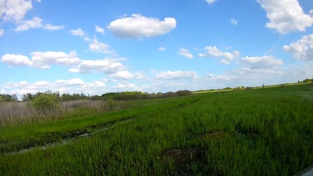 Луг возле Круглого с водой