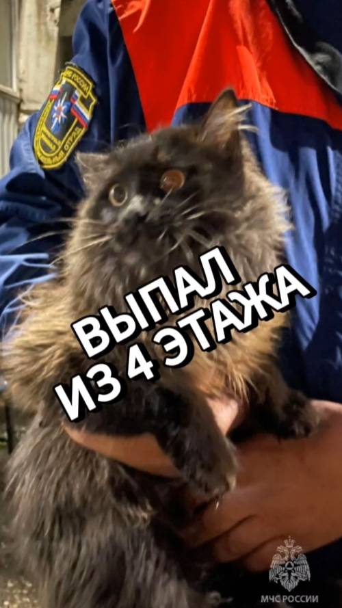 Возвращение в семью