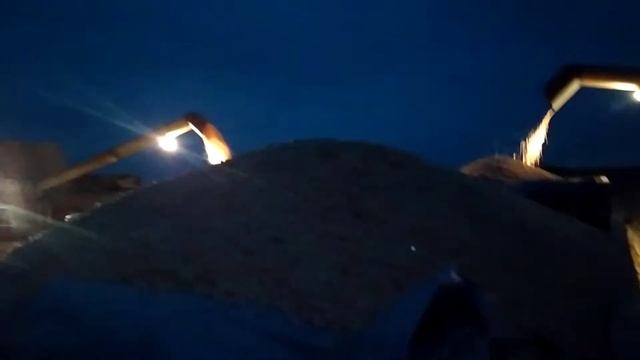 МАЗ 5551 Уборка кукурузы 2020