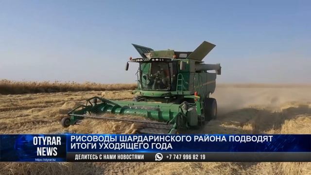 Рисоводы Шардаринского района подводят итоги уходящего года