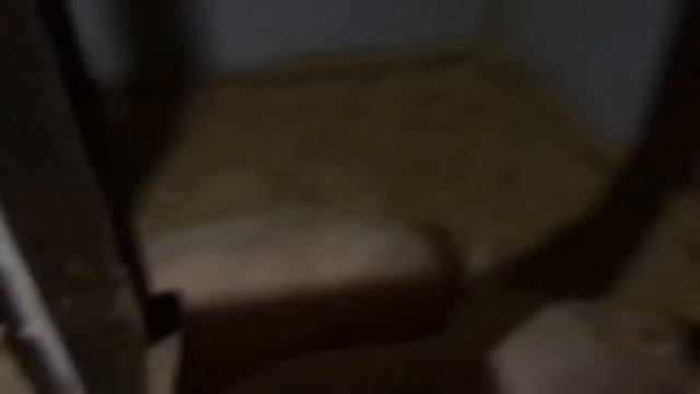 Оборудуем новый сарай,под глубокую подстилку