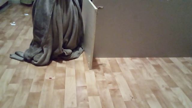 снюсаеда кальмар часть 1