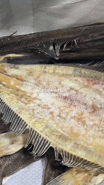 Вкусный вяленый ёрш.