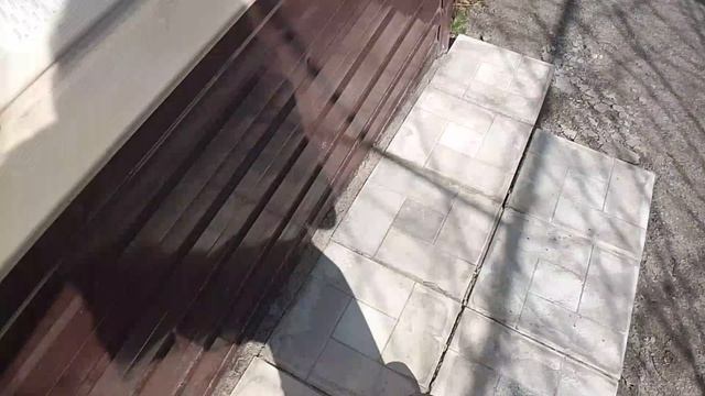 обзор на мой двор в деревне