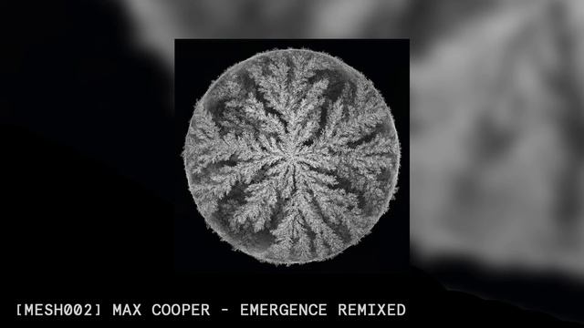 Max Cooper - Symmetry (Hidden Orchestra Remix) [MESH002]