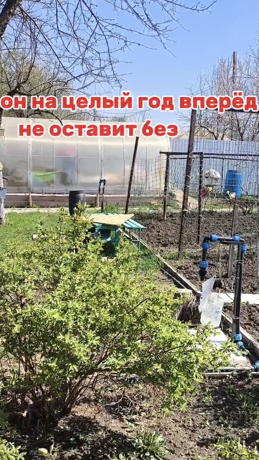 Я для вас экскурсовод