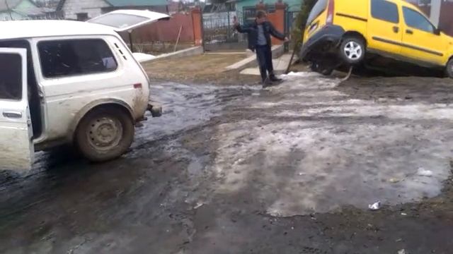 Нива