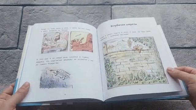 Кот Пончик. Мохнатое семейство