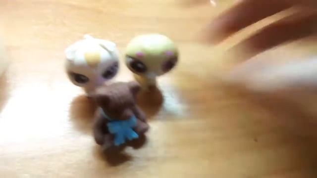 Новости ЛПС #2 рекомендую канал котёнок Злата 😍😍😘😘😋😊😊😂