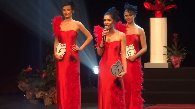 Discours de Mélissa Nourry pour Miss Franche Comté 2016