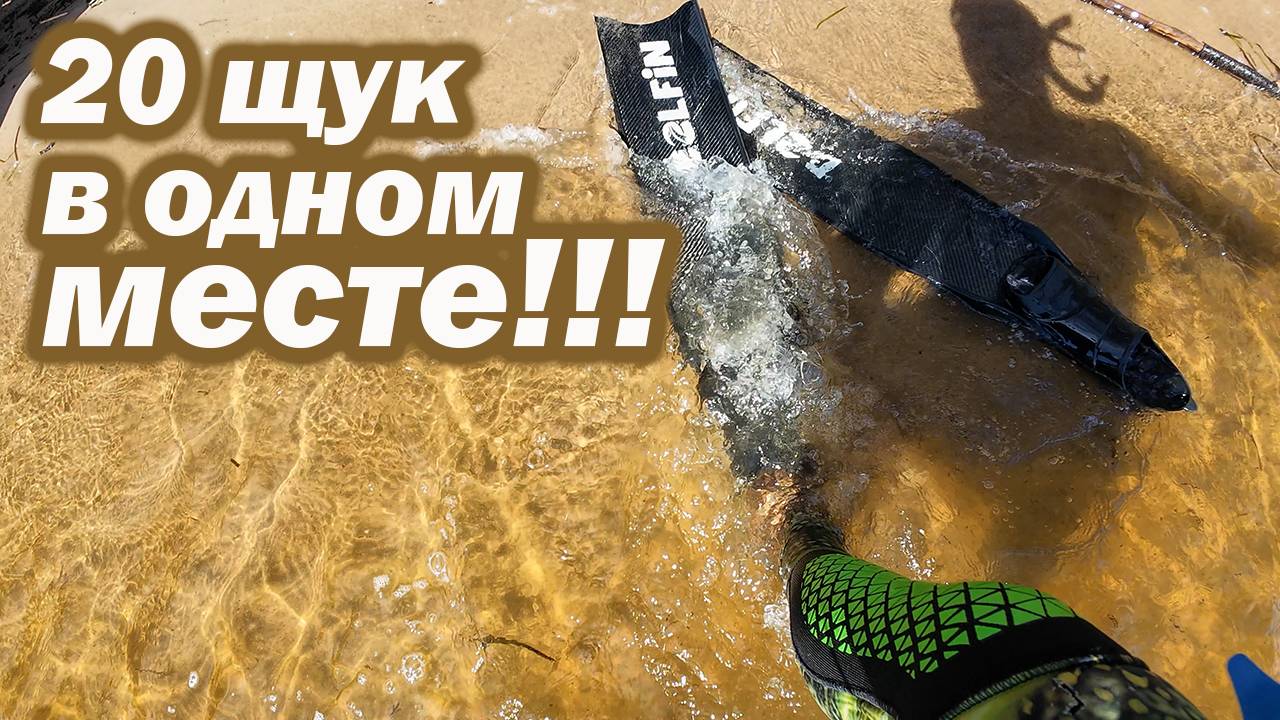 КАК ЭТО БЫЛО!!! НАШЕЛ ЛОГОВО ЩУКИ!!! ФОТООХОТА В ЗАПРЕТ!!!