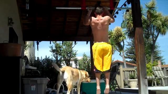 CrossFit 510 Homemade pull up bar variations